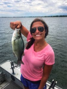 Colorado White Bass Makes Angler Smile